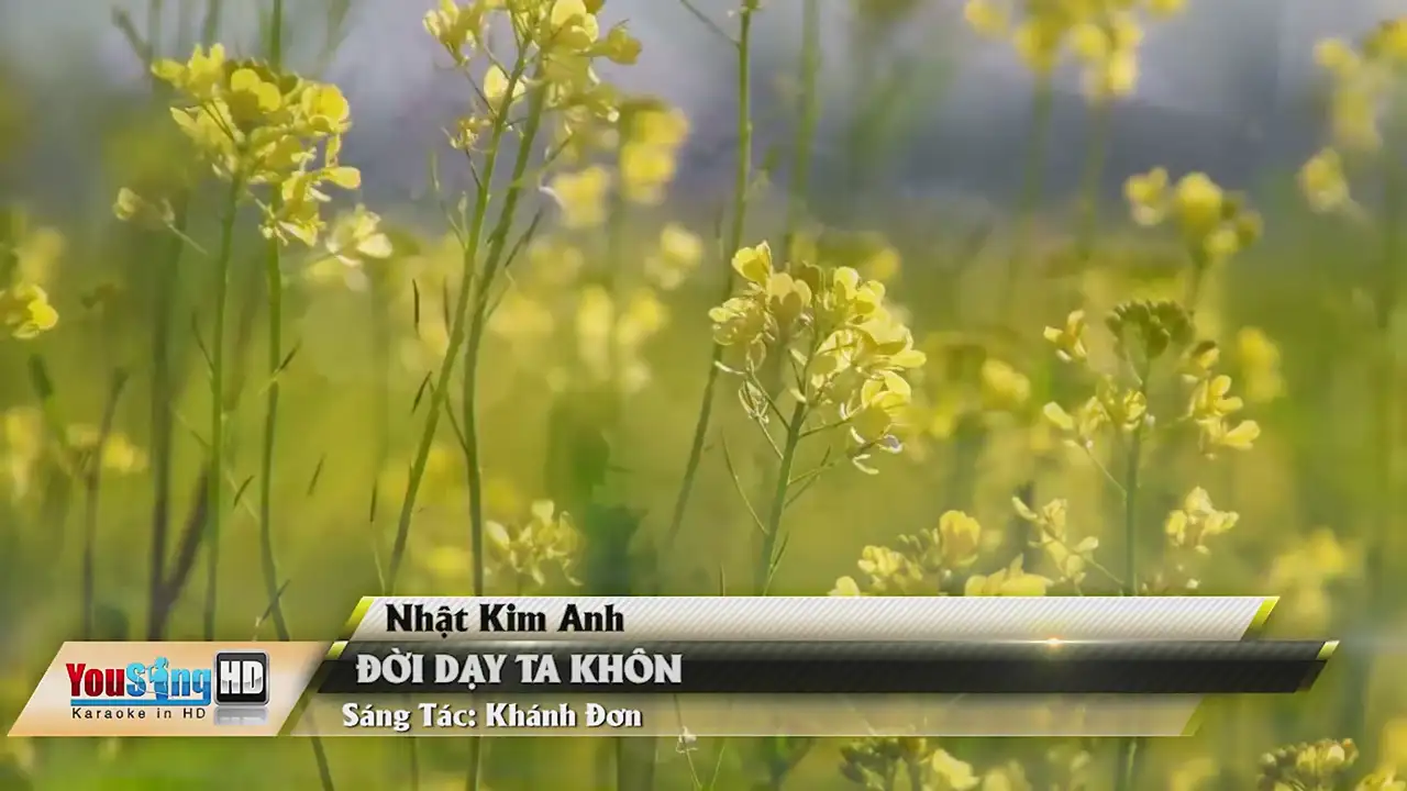 Ảnh bài hát Đời Dạy Ta Khôn