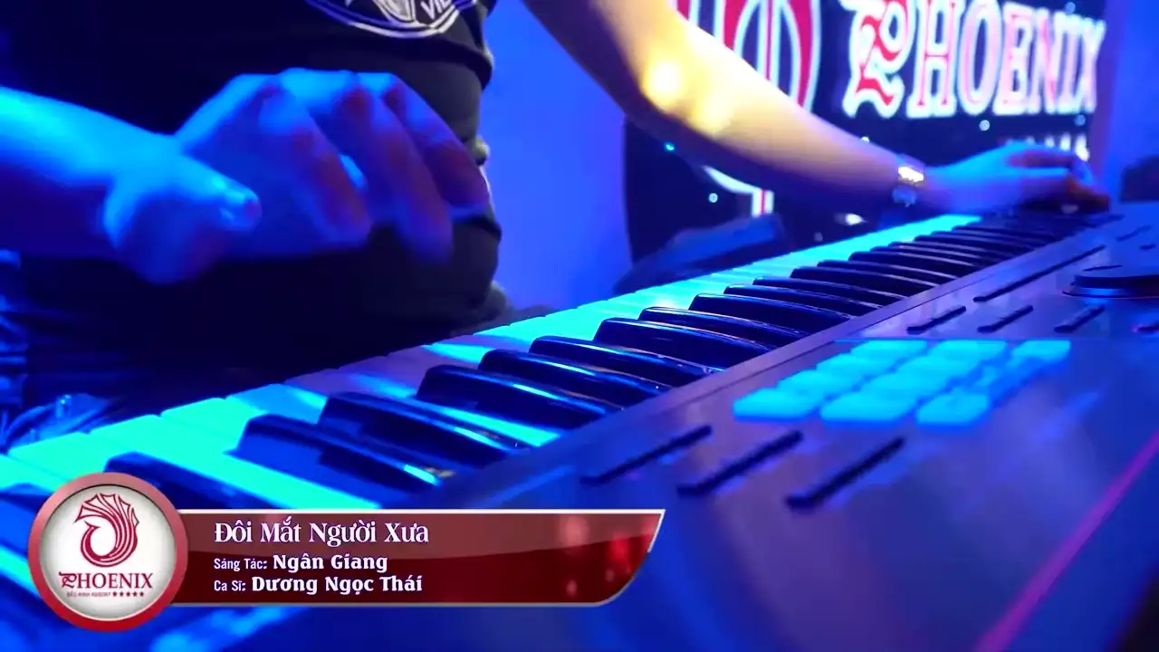 Ảnh bài hát Đôi Mắt Người Xưa