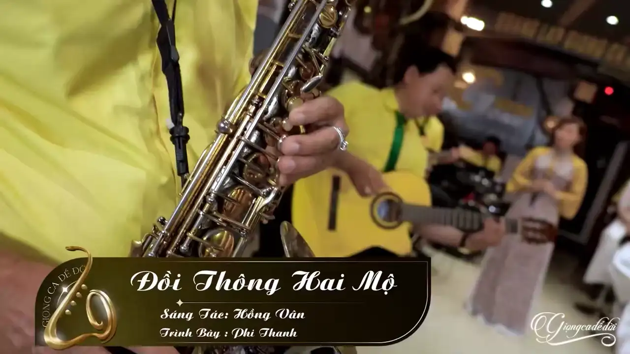 Ảnh bài hát Đồi Thông Hai Mộ