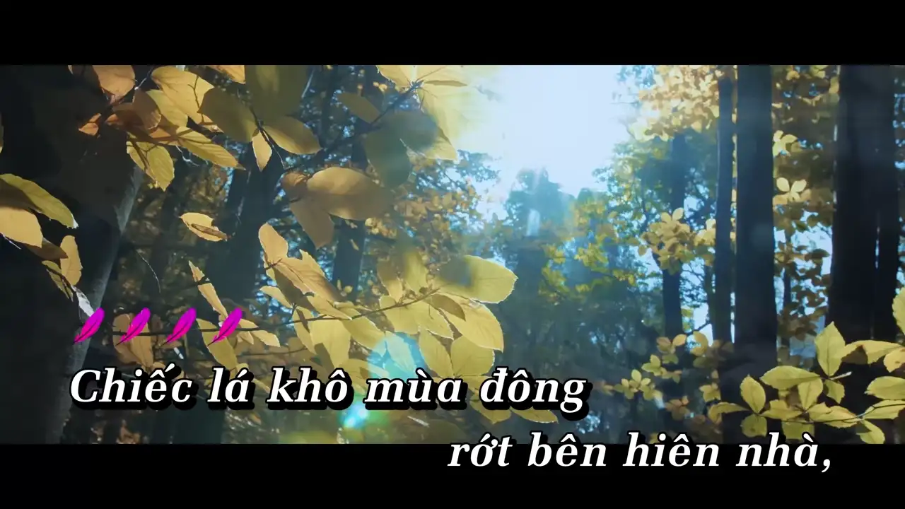 Ảnh bài hát Đông Đến Đây Rồi Em Về Bên Ai