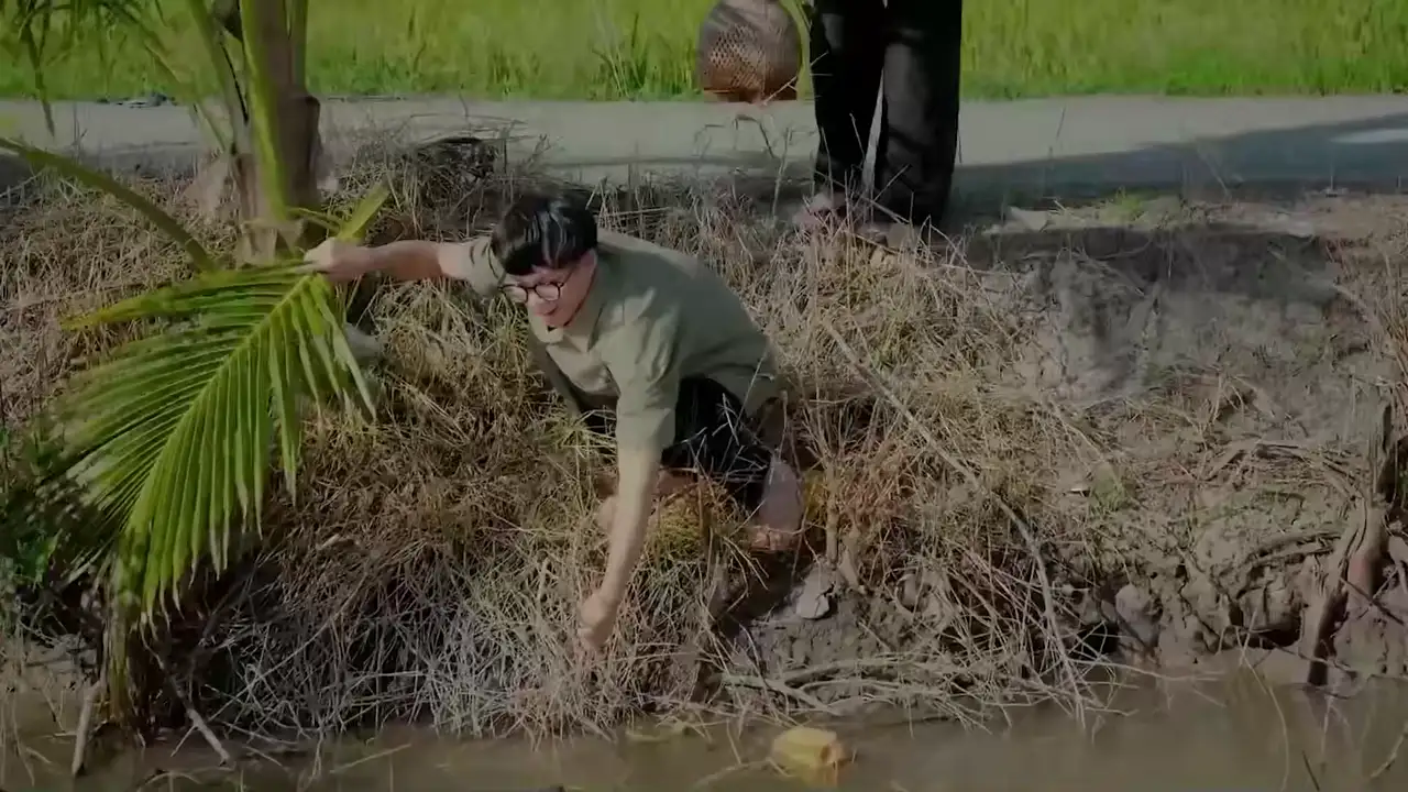 Ảnh bài hát Đồng Sàng