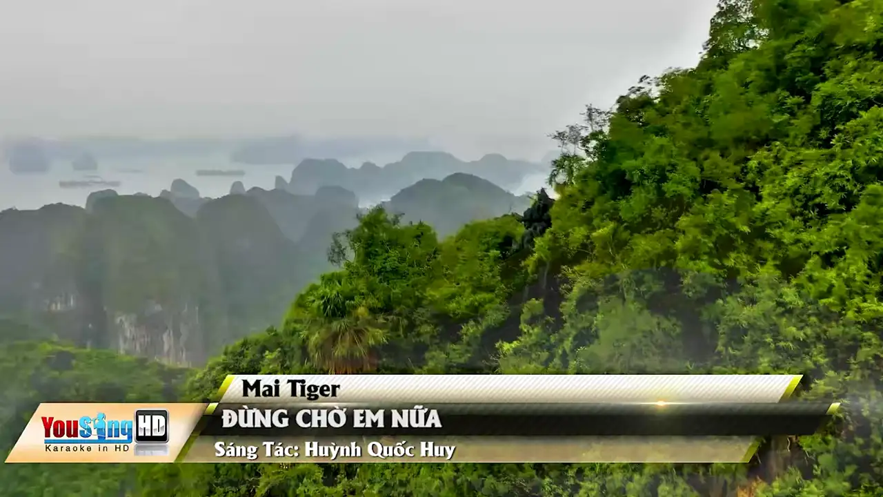 Ảnh bài hát Đừng Chờ Em Nữa