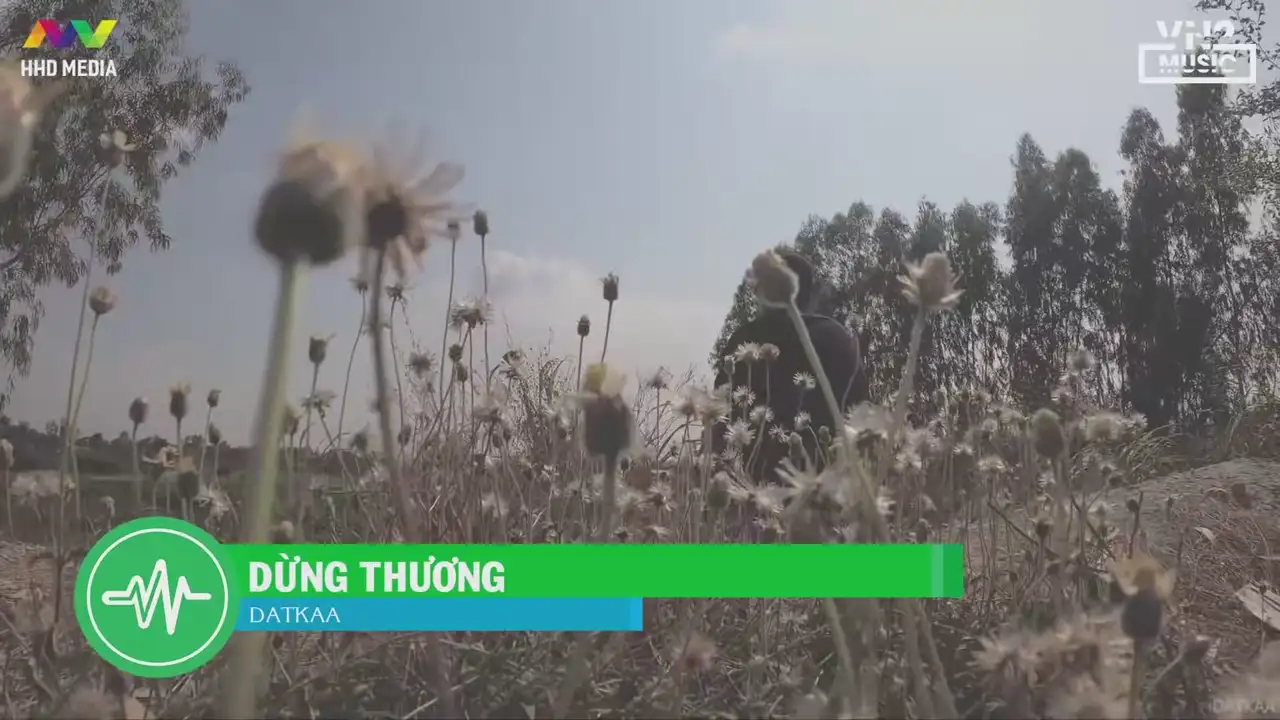 Ảnh bài hát Dừng Thương