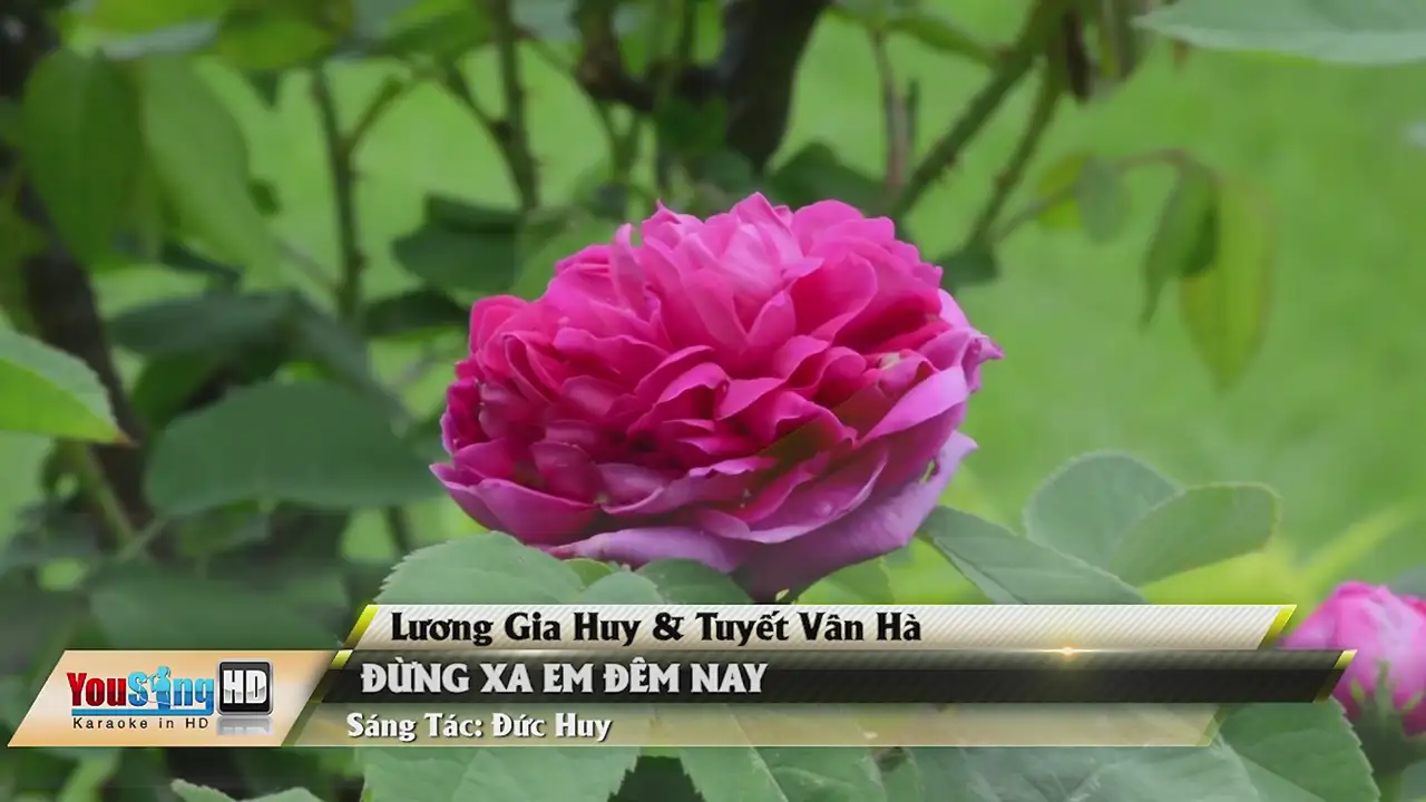 Ảnh bài hát Đừng Xa Em Đêm Nay