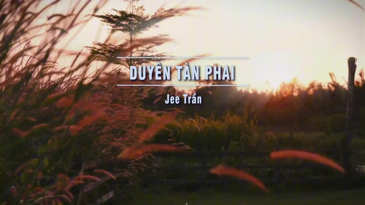 Ảnh bài hát Duyên Tàn Phai