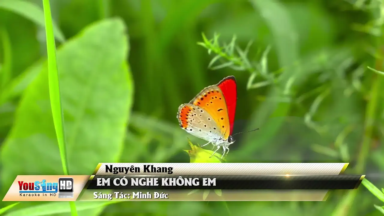 Ảnh bài hát Em Có Nghe Không Em
