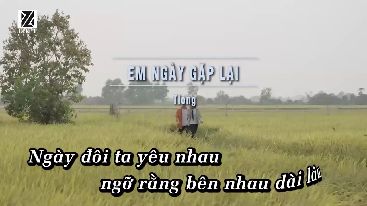 Ảnh bài hát Em Ngày Gặp Lại