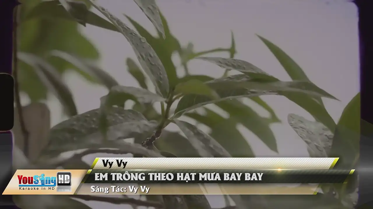 Ảnh bài hát Em Trông Theo Hạt Mưa Bay Bay
