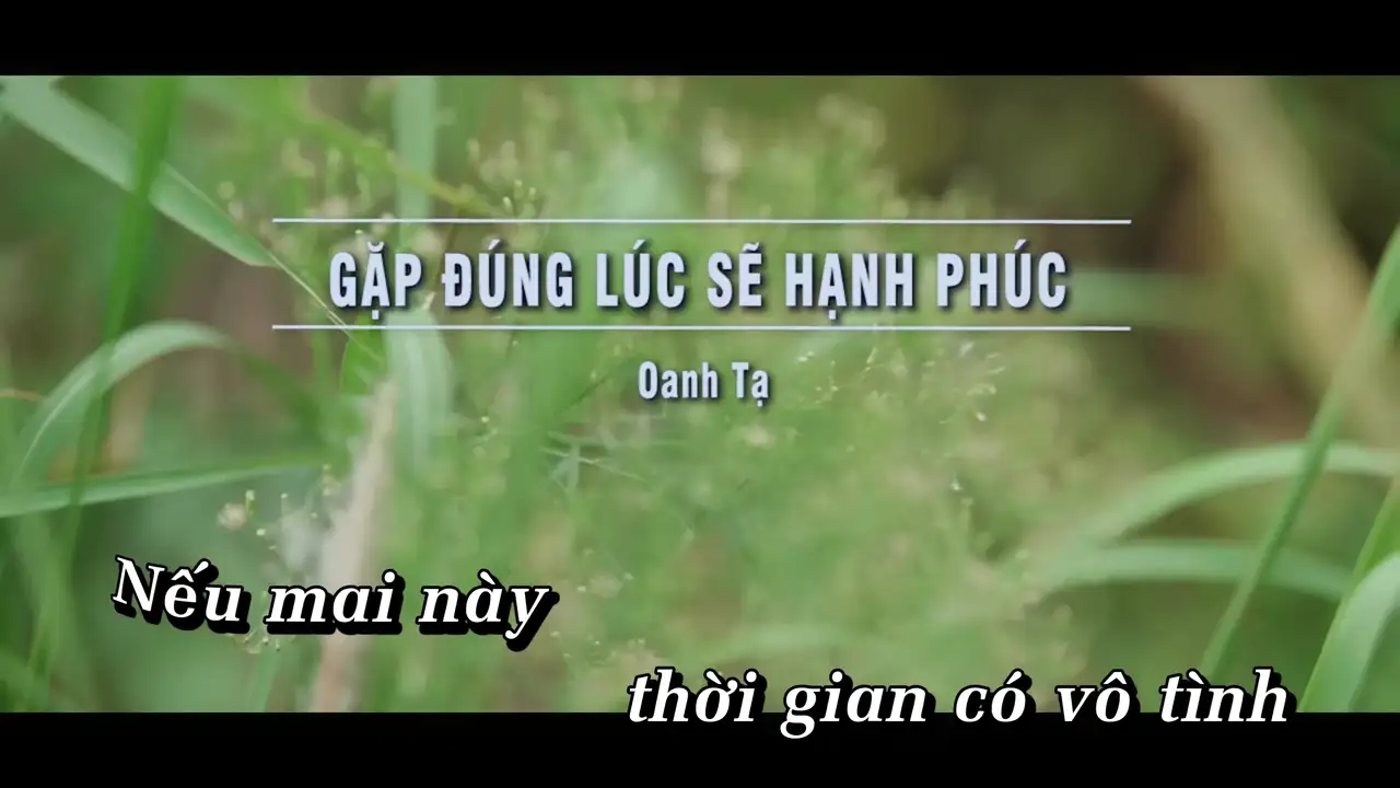 Ảnh bài hát Gặp Đúng Lúc Sẽ Hạnh Phúc
