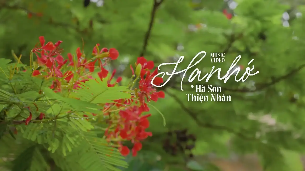 Ảnh bài hát Hạ Nhớ