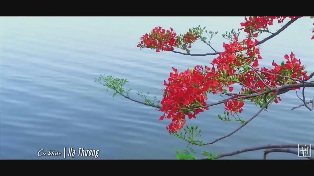 Ảnh bài hát Hạ Thương