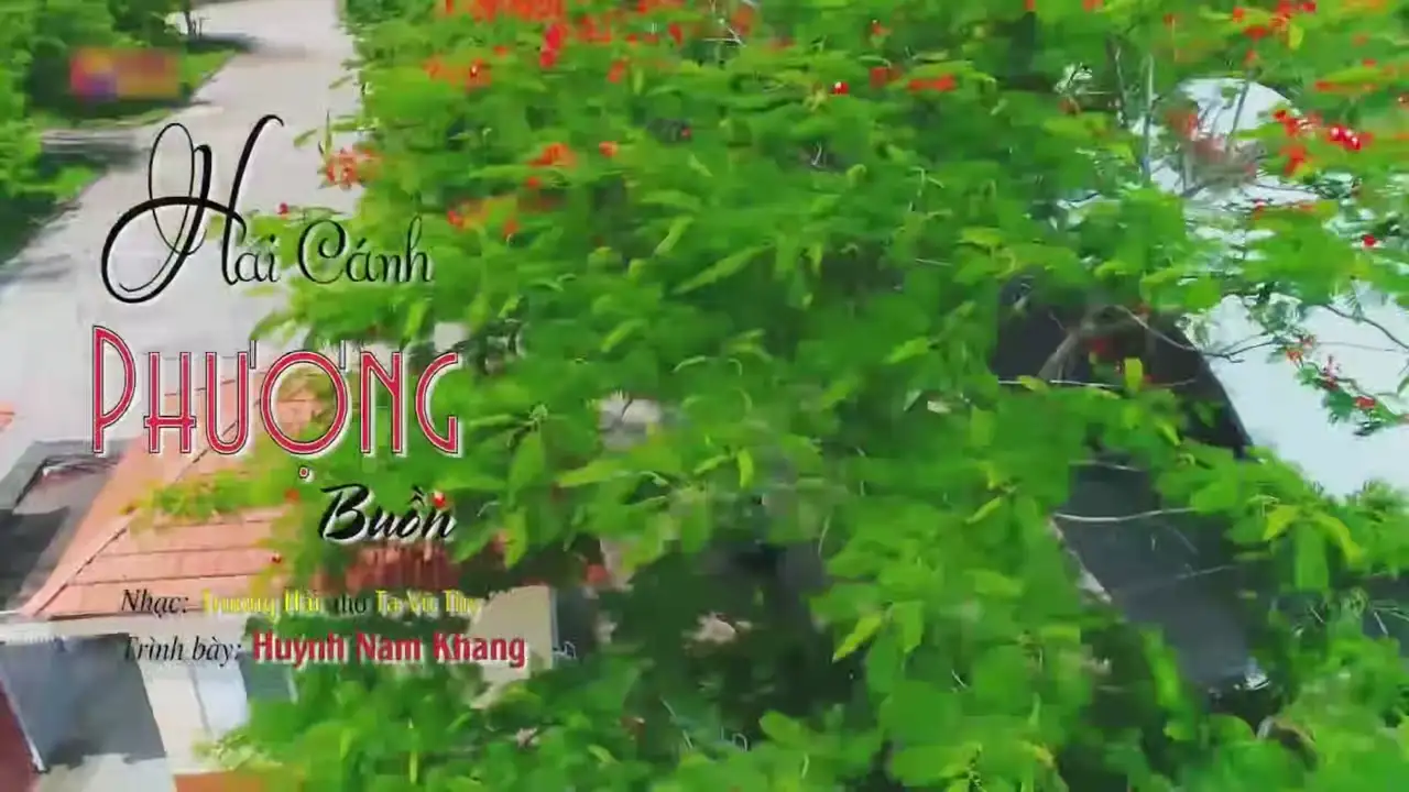 Ảnh bài hát Hai Cánh Phượng Buồn