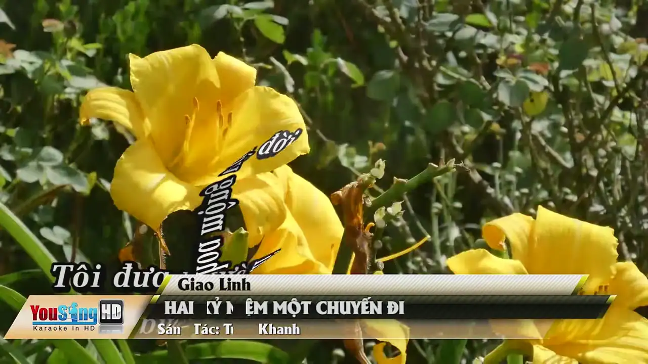 Ảnh bài hát Hai Kỷ Niệm Một Chuyến Đi