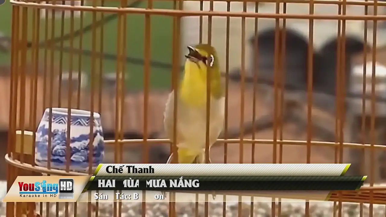 Ảnh bài hát Hai Mùa Mưa Nắng