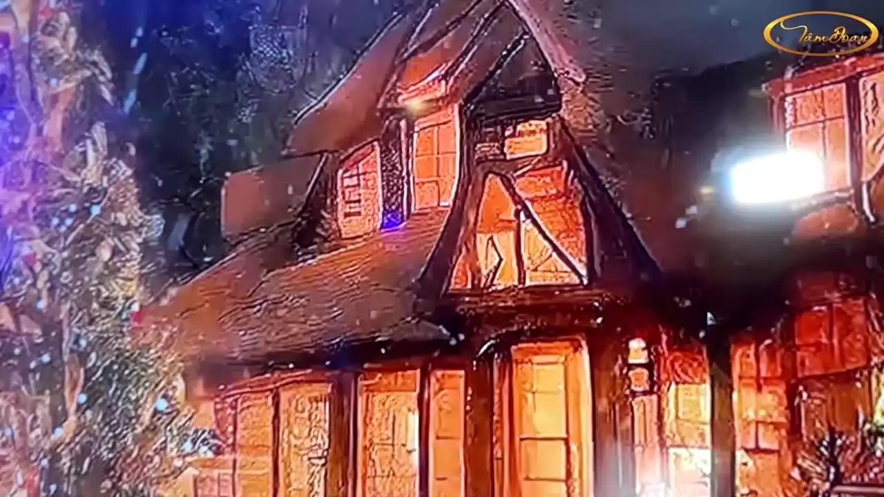 Ảnh bài hát Hai Mùa Noel