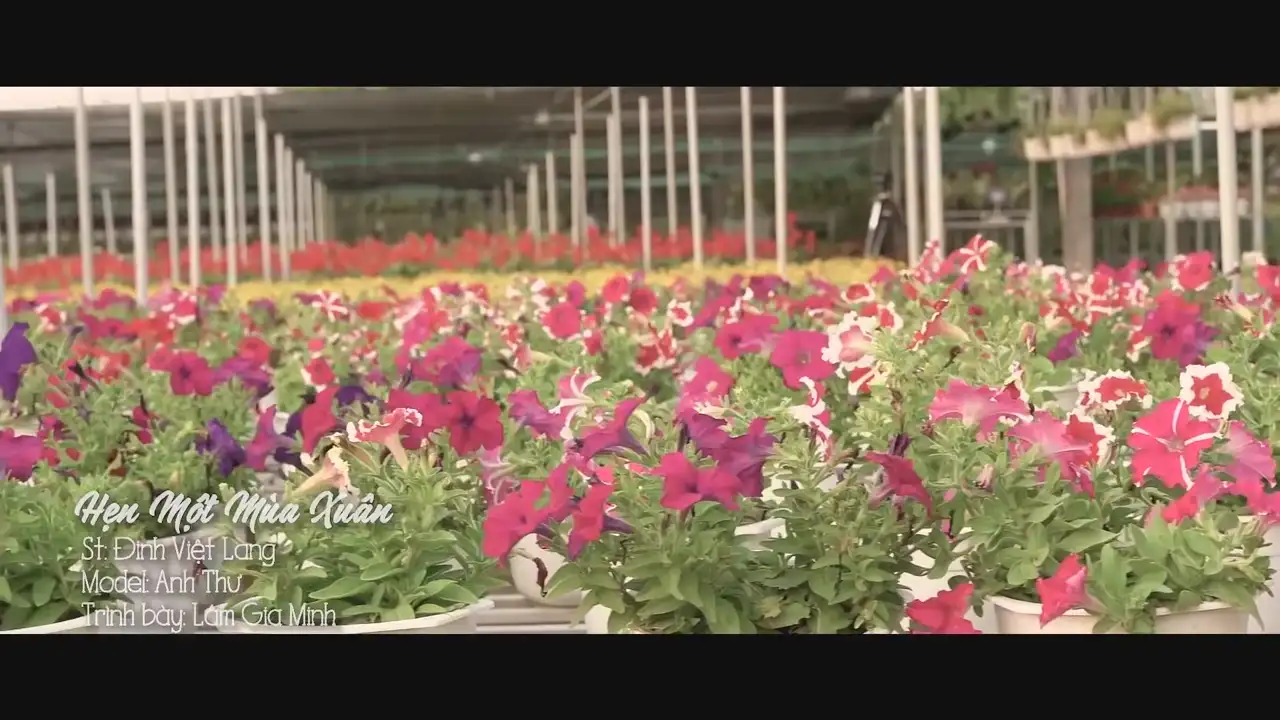 Ảnh bài hát Hẹn Một Mùa Xuân
