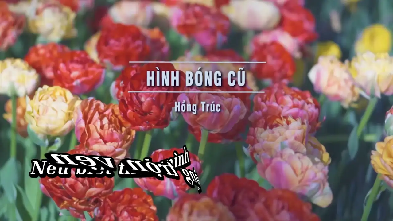 Ảnh bài hát Hình Bóng Cũ