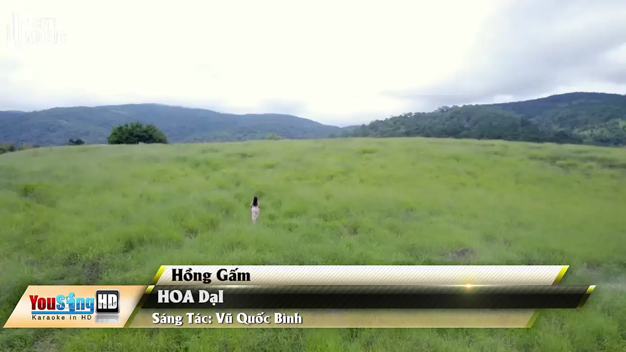 Ảnh bài hát Hoa Dại