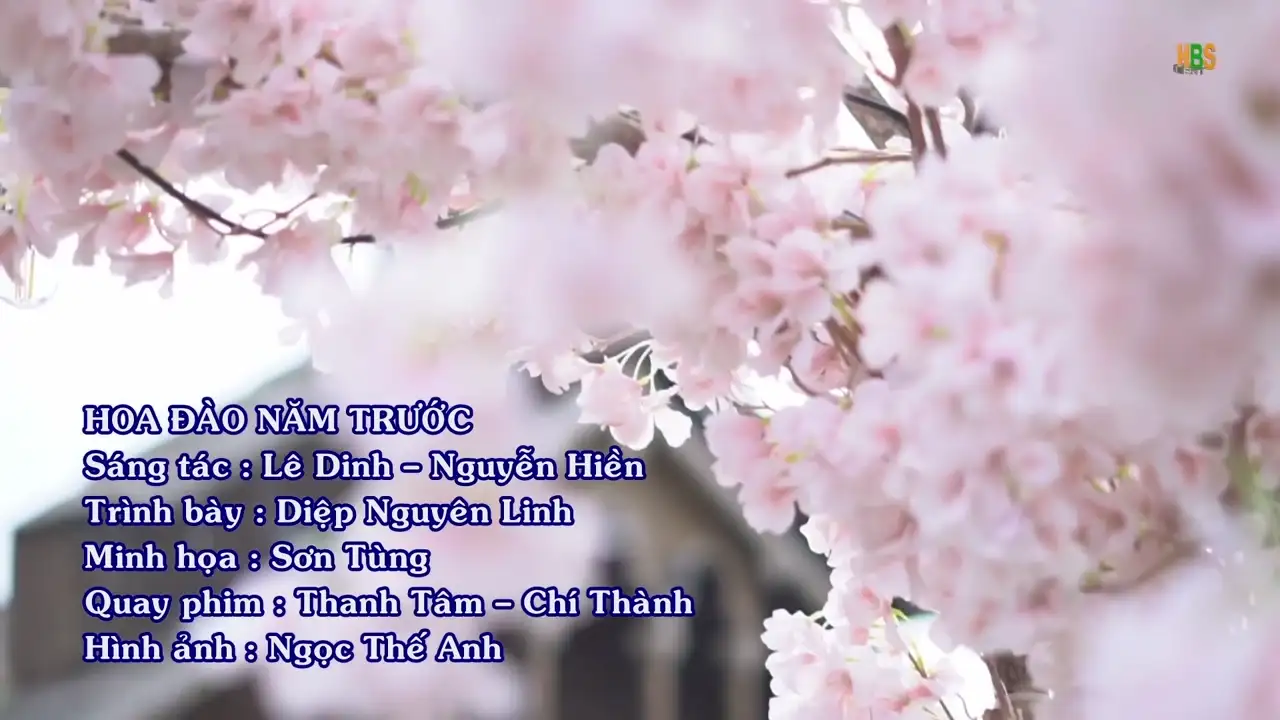Ảnh bài hát Hoa Đào Năm Trước