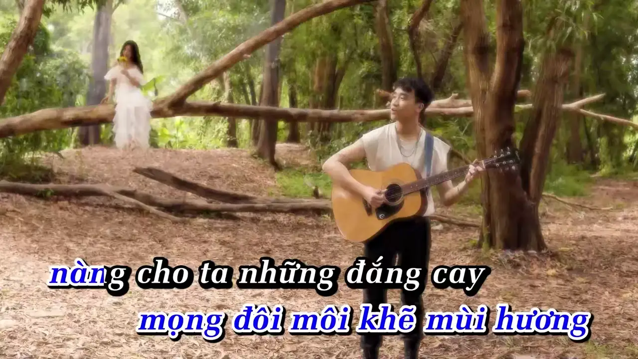 Ảnh bài hát Hoa Mặt Trời