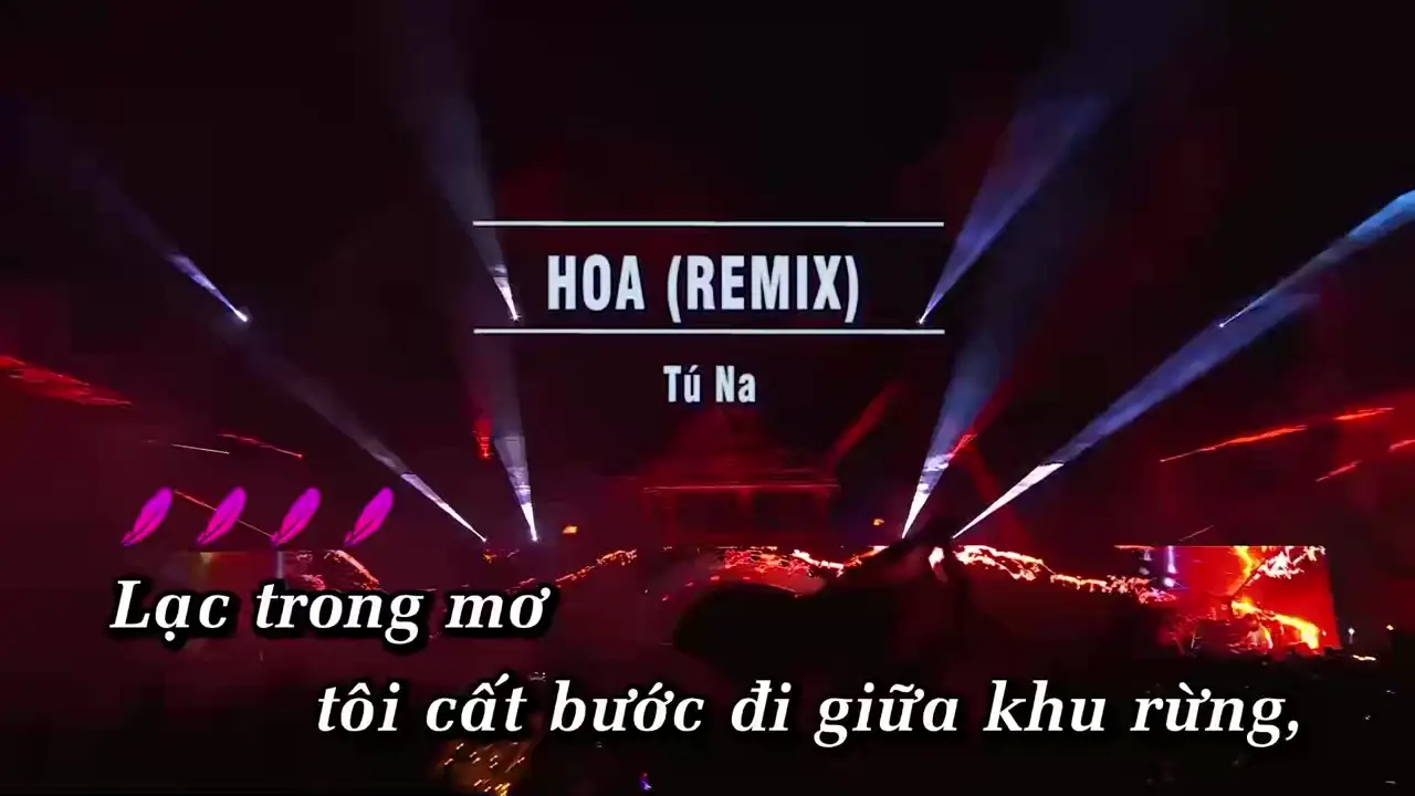 Ảnh bài hát Hoa (Remix)