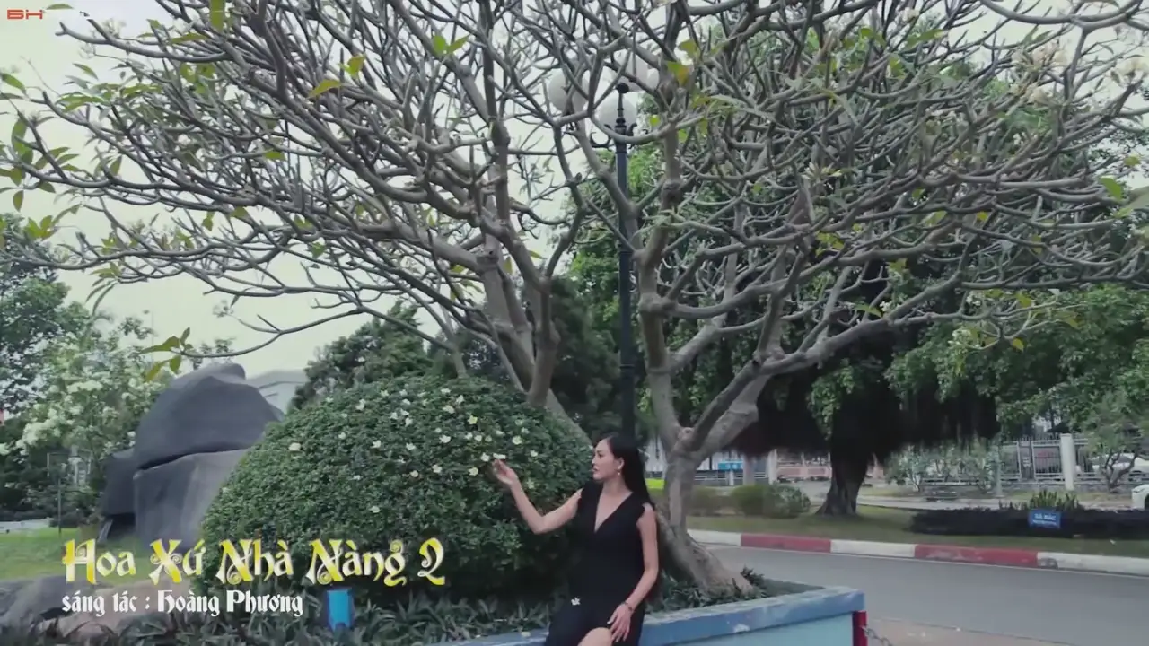 Ảnh bài hát Hoa Sứ Nhà Nàng 2