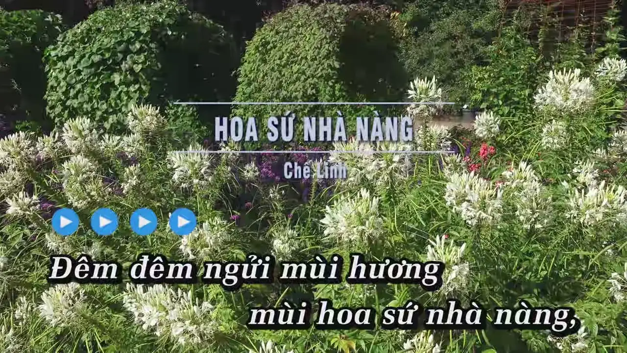 Ảnh bài hát Hoa Sứ Nhà Nàng
