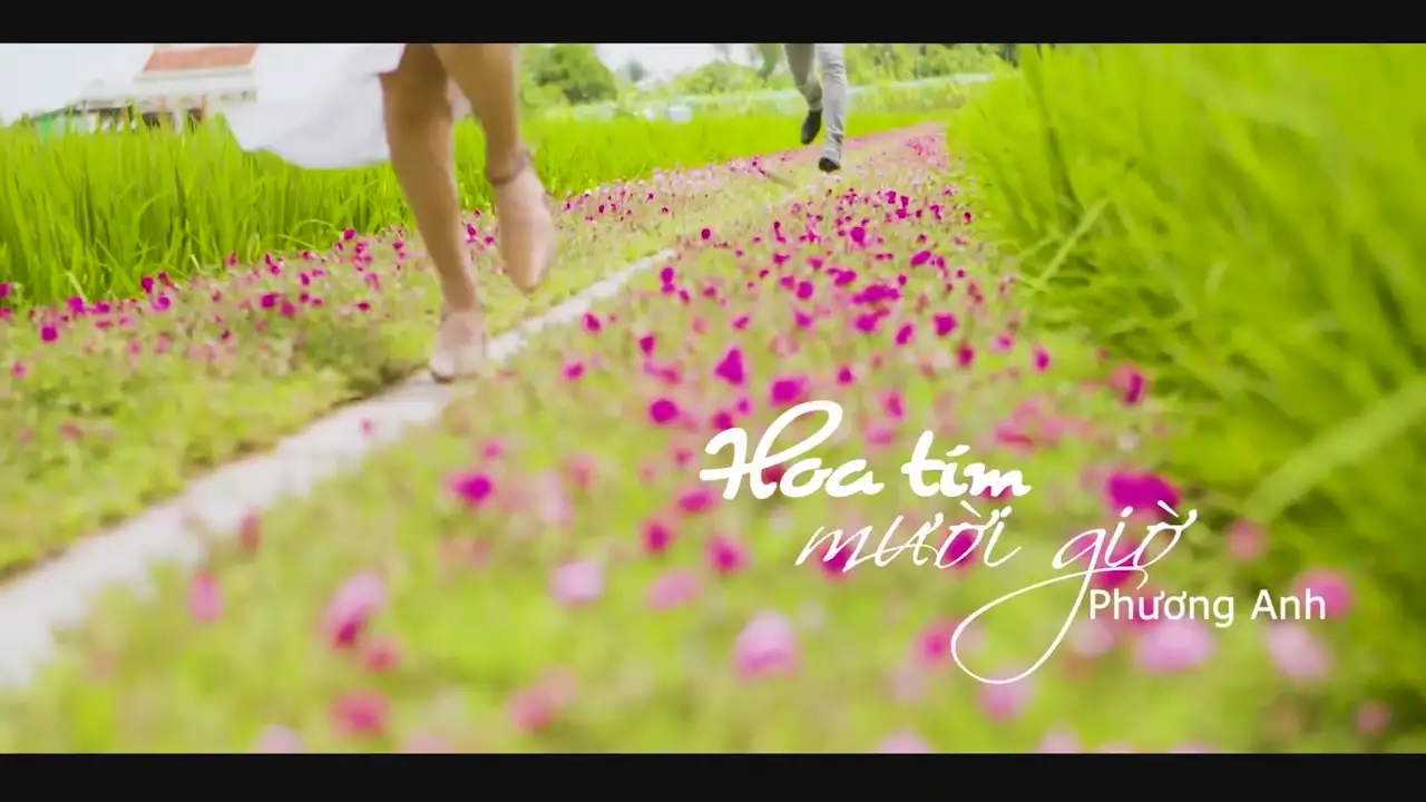 Ảnh bài hát Hoa Tím Mười Giờ