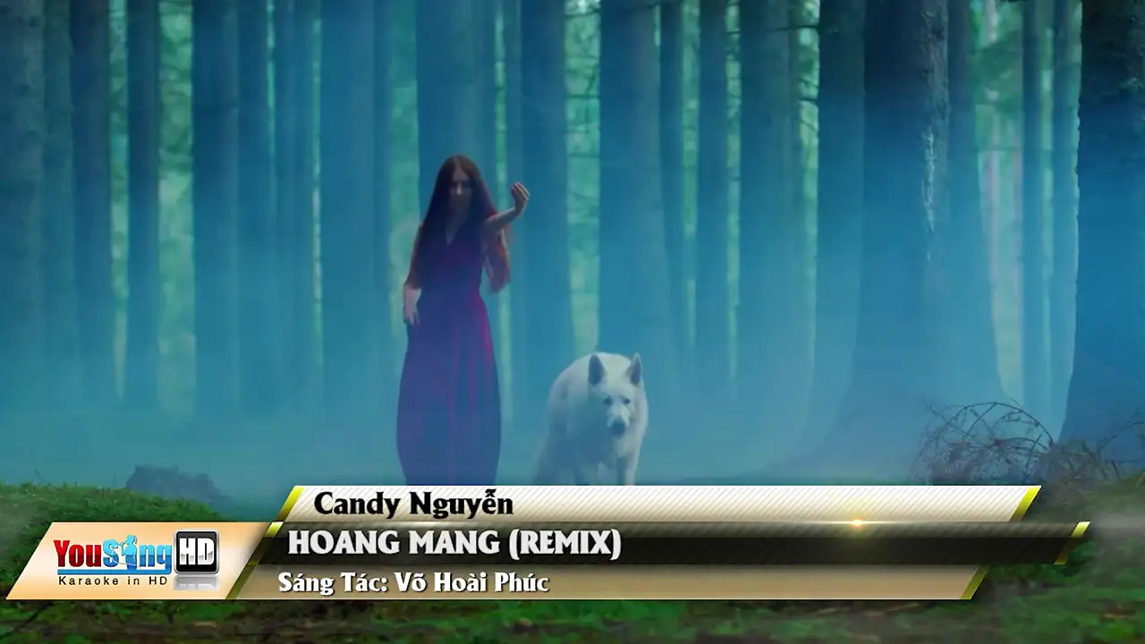 Ảnh bài hát Hoang Mang (Remix)