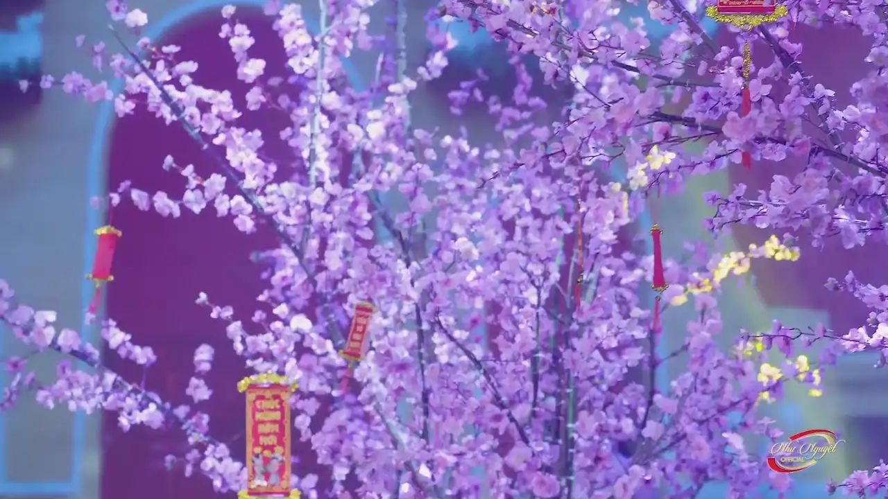 Ảnh bài hát Hỏi Nàng Xuân