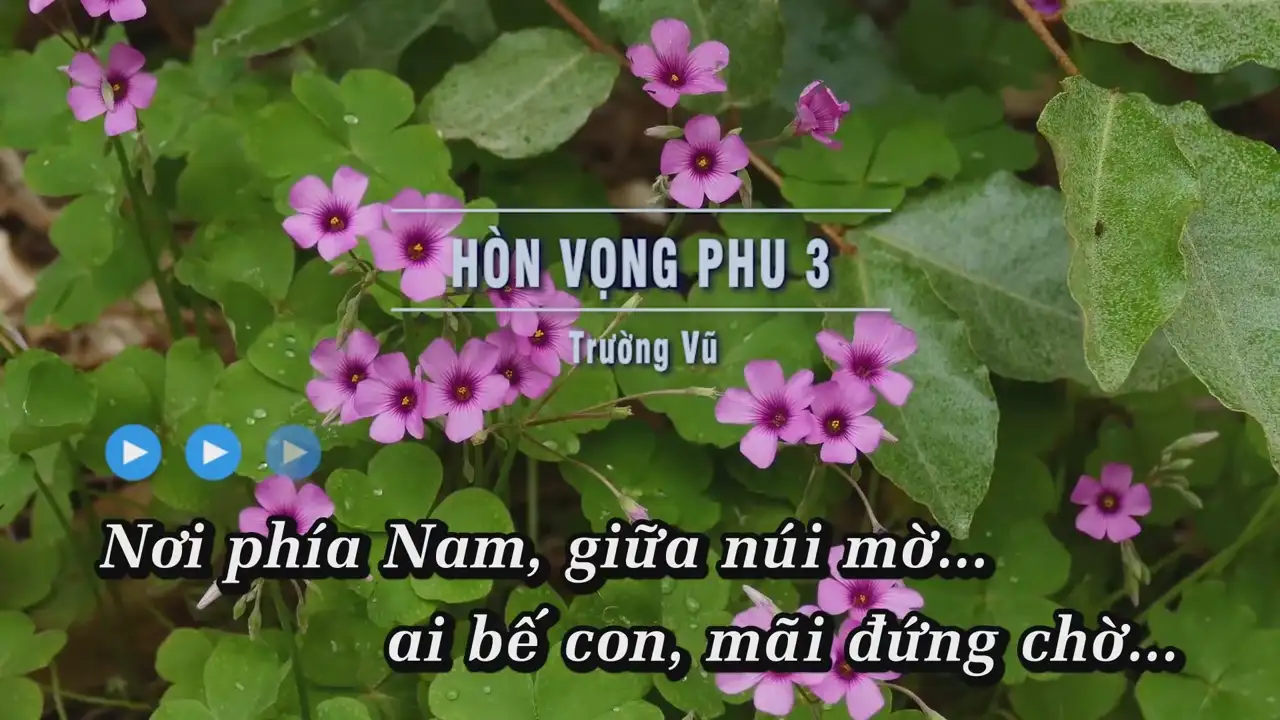 Ảnh bài hát Hòn Vọng Phu 3