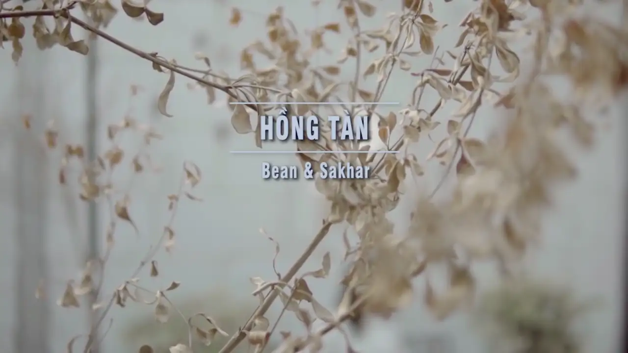 Ảnh bài hát Hồng Tàn
