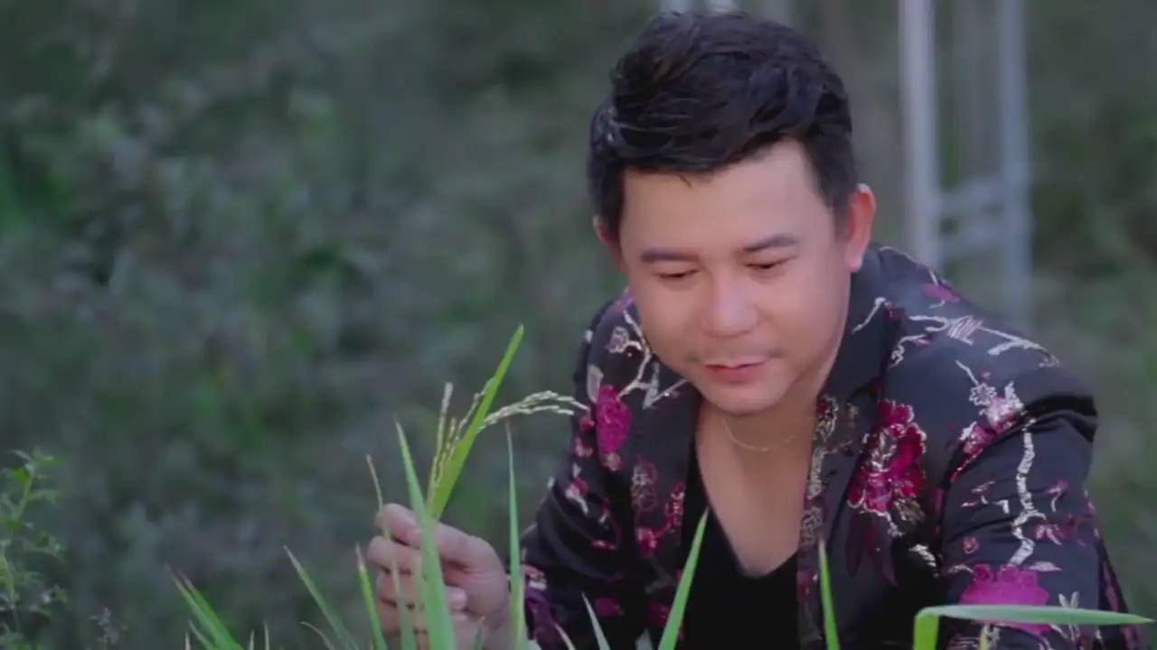 Ảnh bài hát Hương Quê Miền Tây