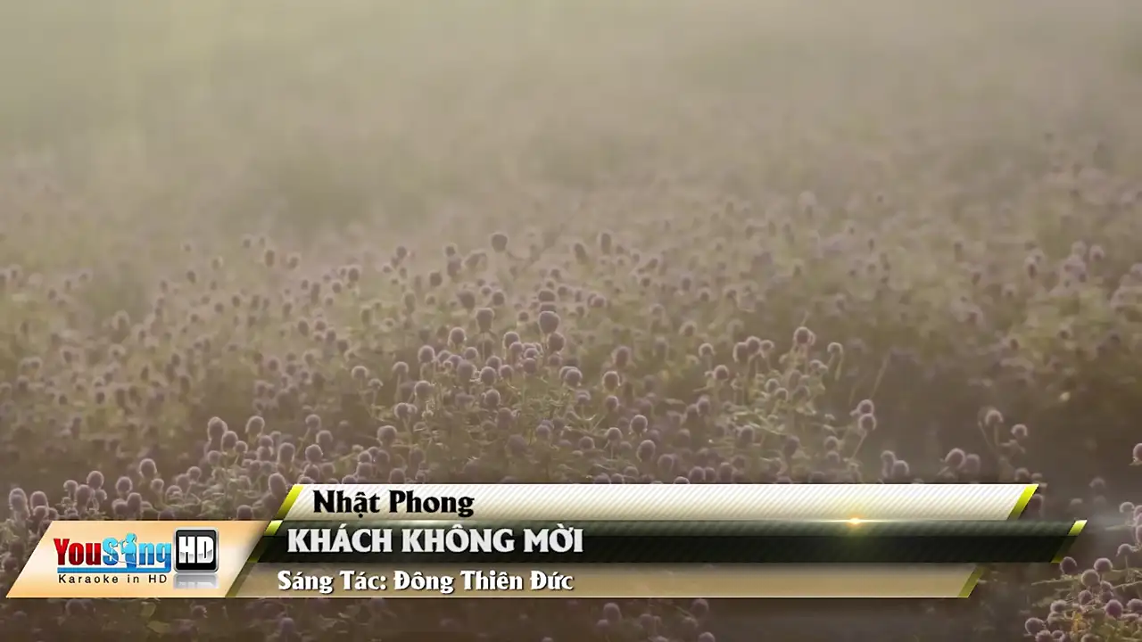 Ảnh bài hát Khách Không Mời