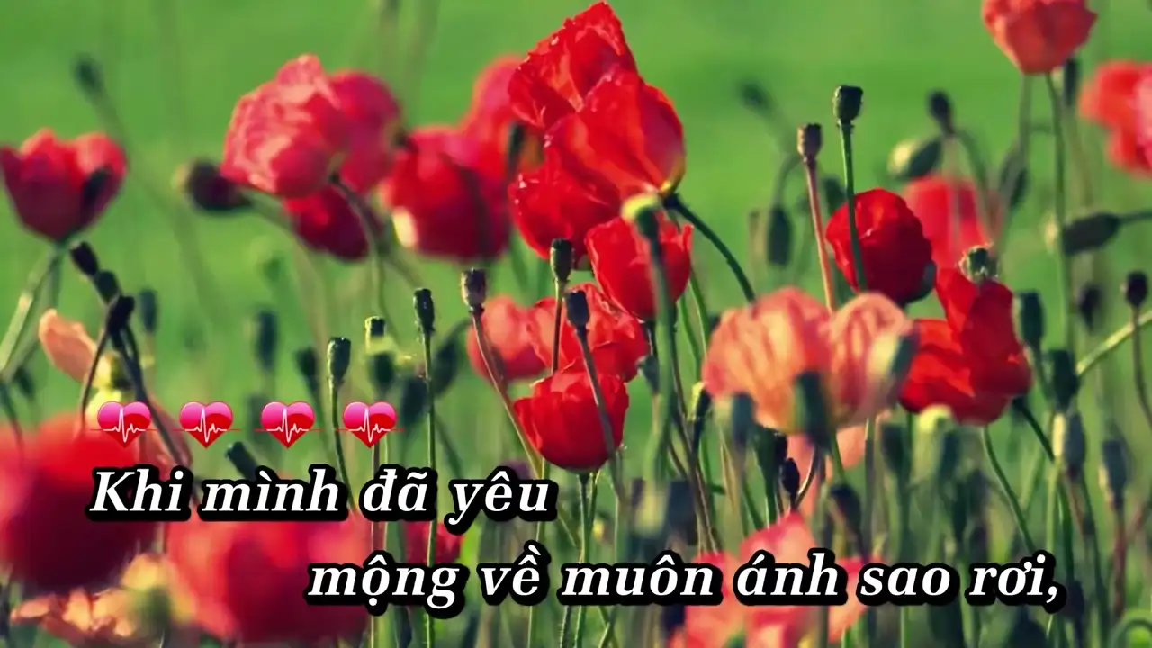 Ảnh bài hát Khi Mình Đã Yêu