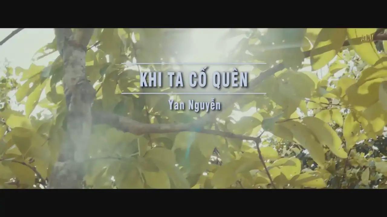 Ảnh bài hát Khi Ta Cố Quên