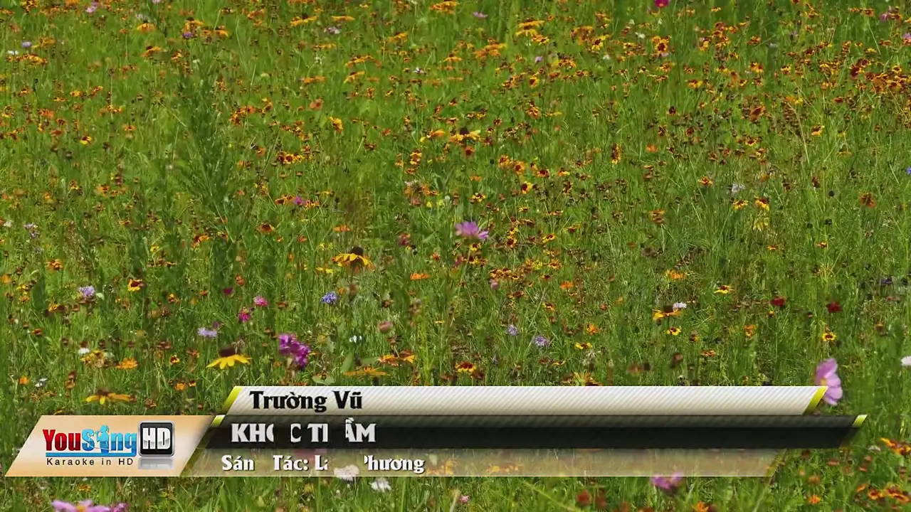 Ảnh bài hát Khóc Thầm