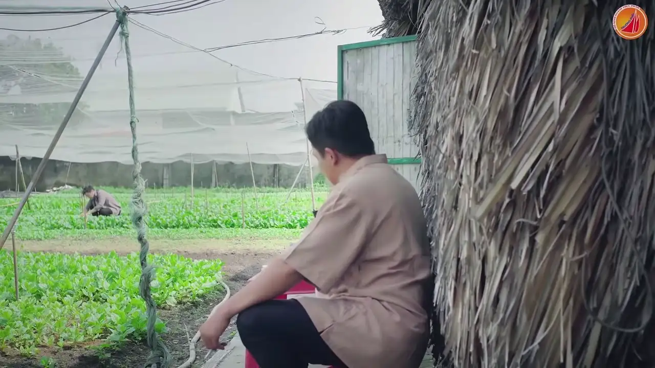 Ảnh bài hát Không Bằng Người Dưng