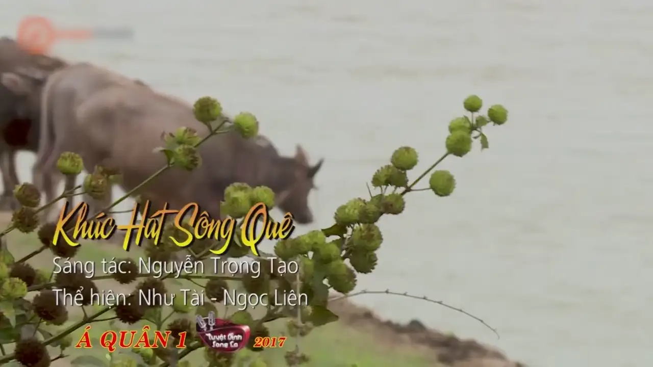 Ảnh bài hát Khúc Hát Sông Quê