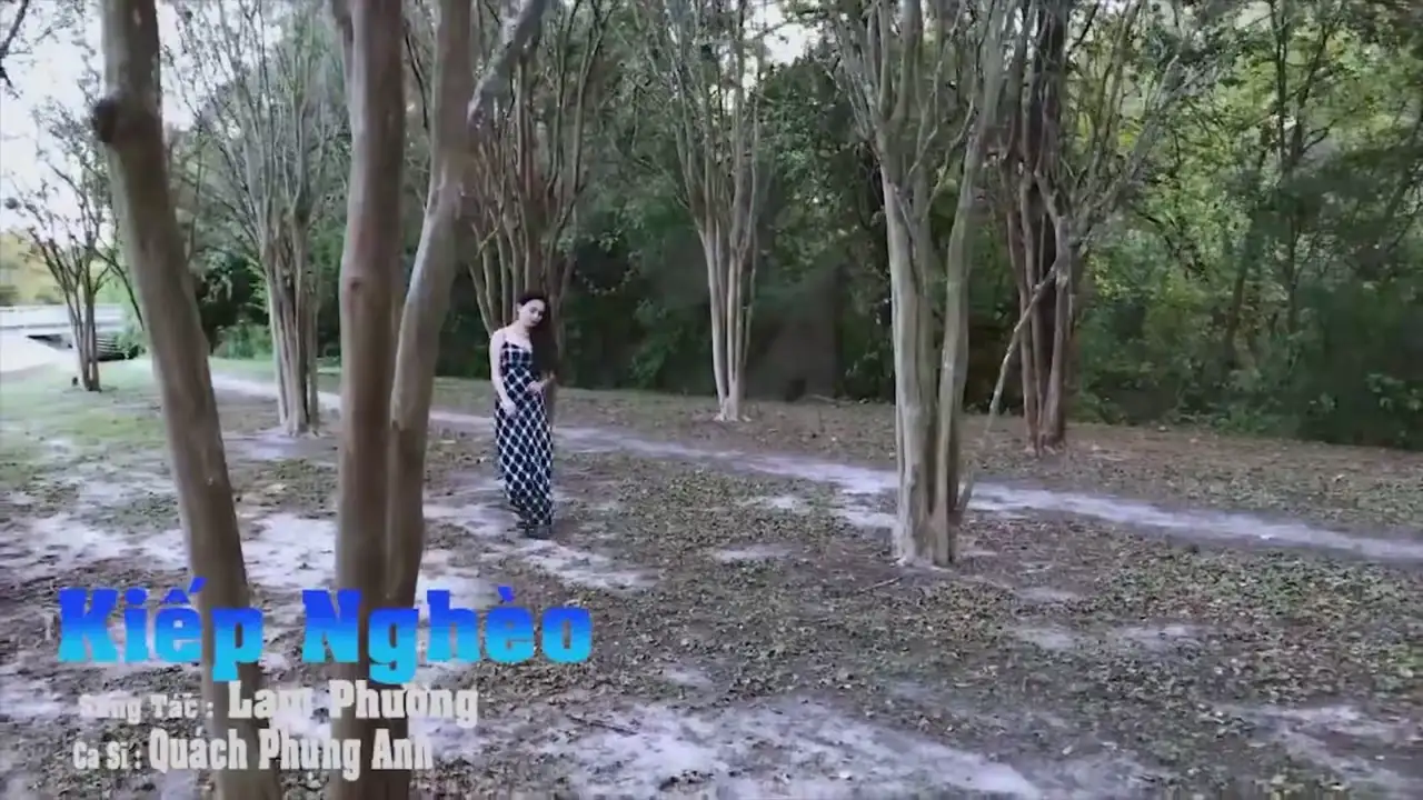 Ảnh bài hát Kiếp Nghèo