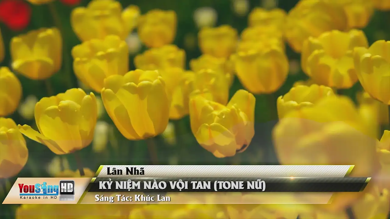 Ảnh bài hát Kỷ Niệm Nào Vội Tan (Tone Nữ)