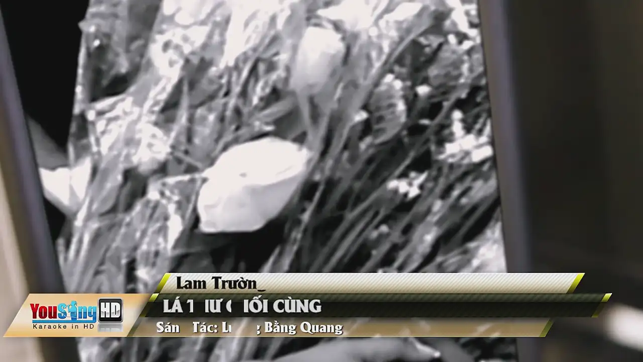 Ảnh bài hát Lá Thư Cuối Cùng