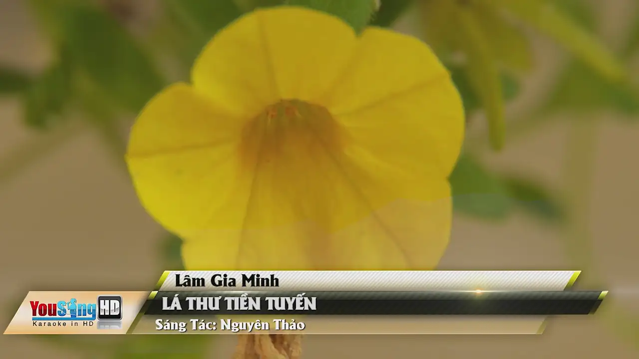 Ảnh bài hát Lá Thư Tiền Tuyến
