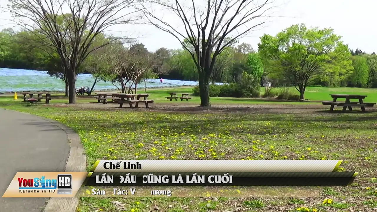 Ảnh bài hát Lần Đầu Cũng Là Lần Cuối