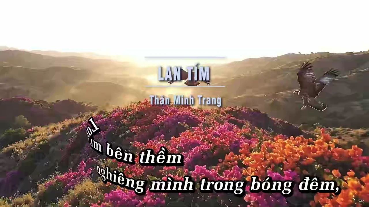 Ảnh bài hát Lan Tím