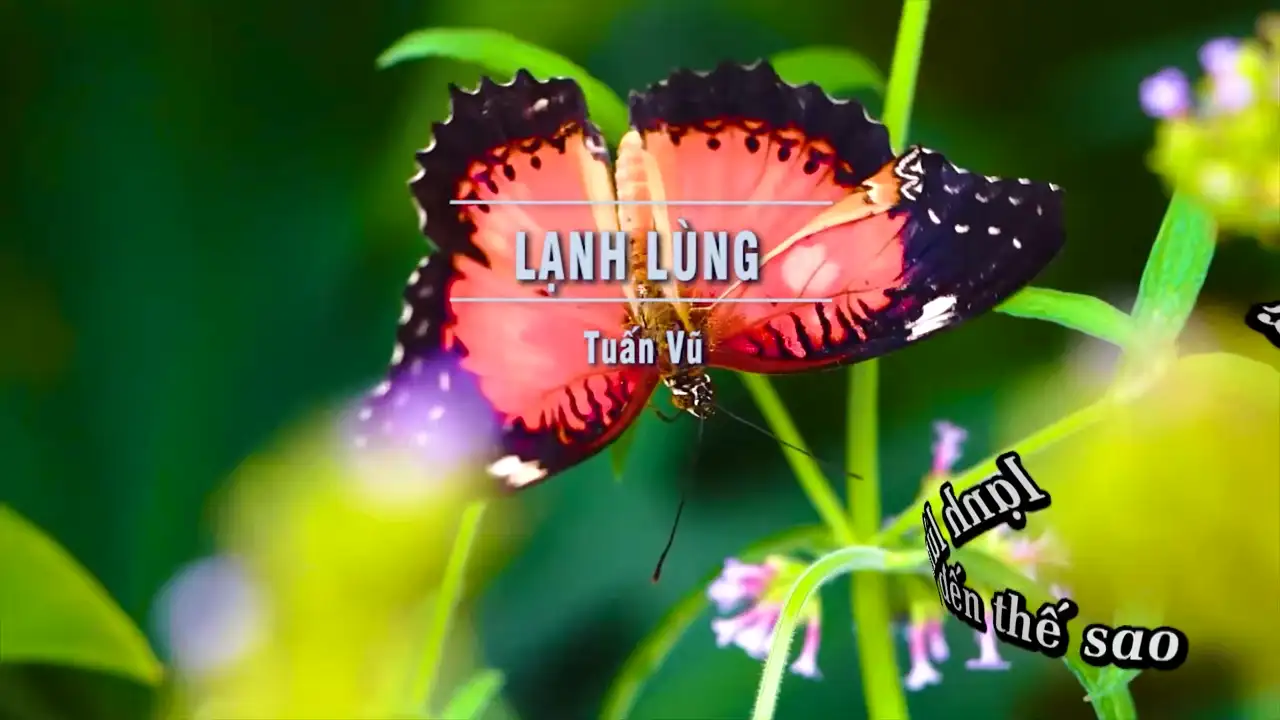 Ảnh bài hát Lạnh Lùng