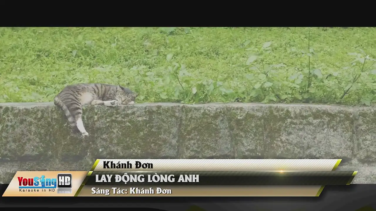Ảnh bài hát Lay Động Lòng Anh