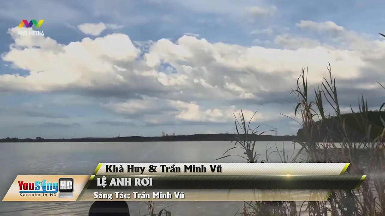 Ảnh bài hát Lệ Anh Rơi