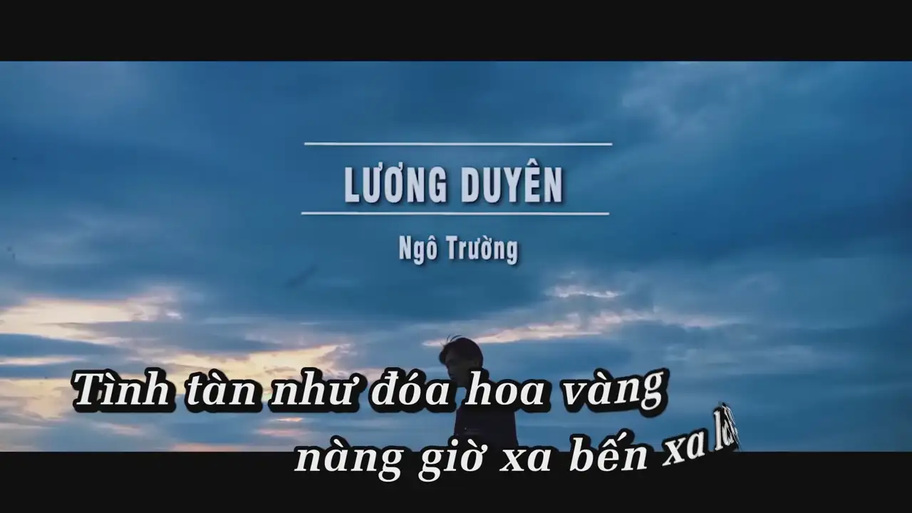 Ảnh bài hát Lương Duyên