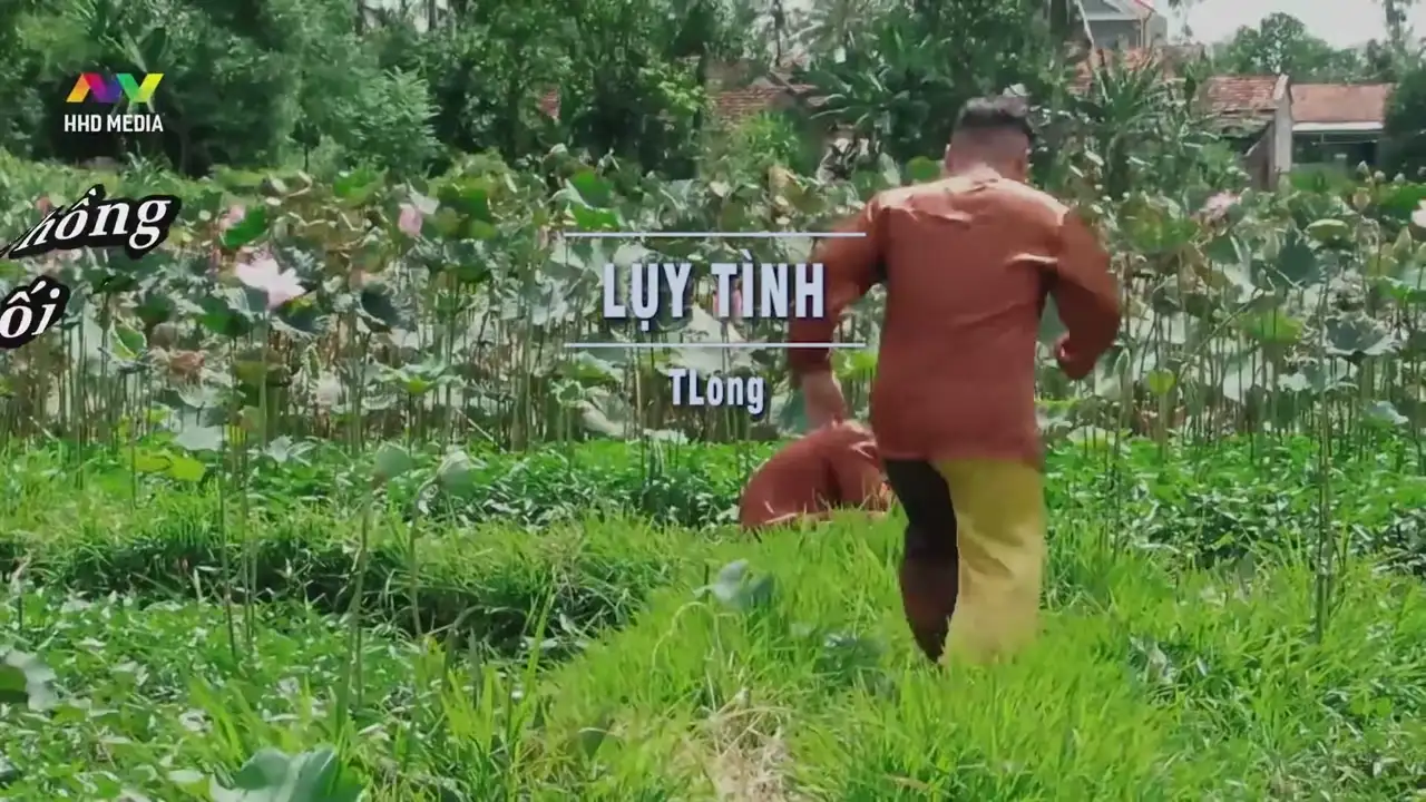 Ảnh bài hát Lụy Tình